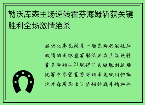 勒沃库森主场逆转霍芬海姆斩获关键胜利全场激情绝杀